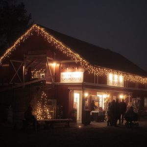 Hegna_julemarked
